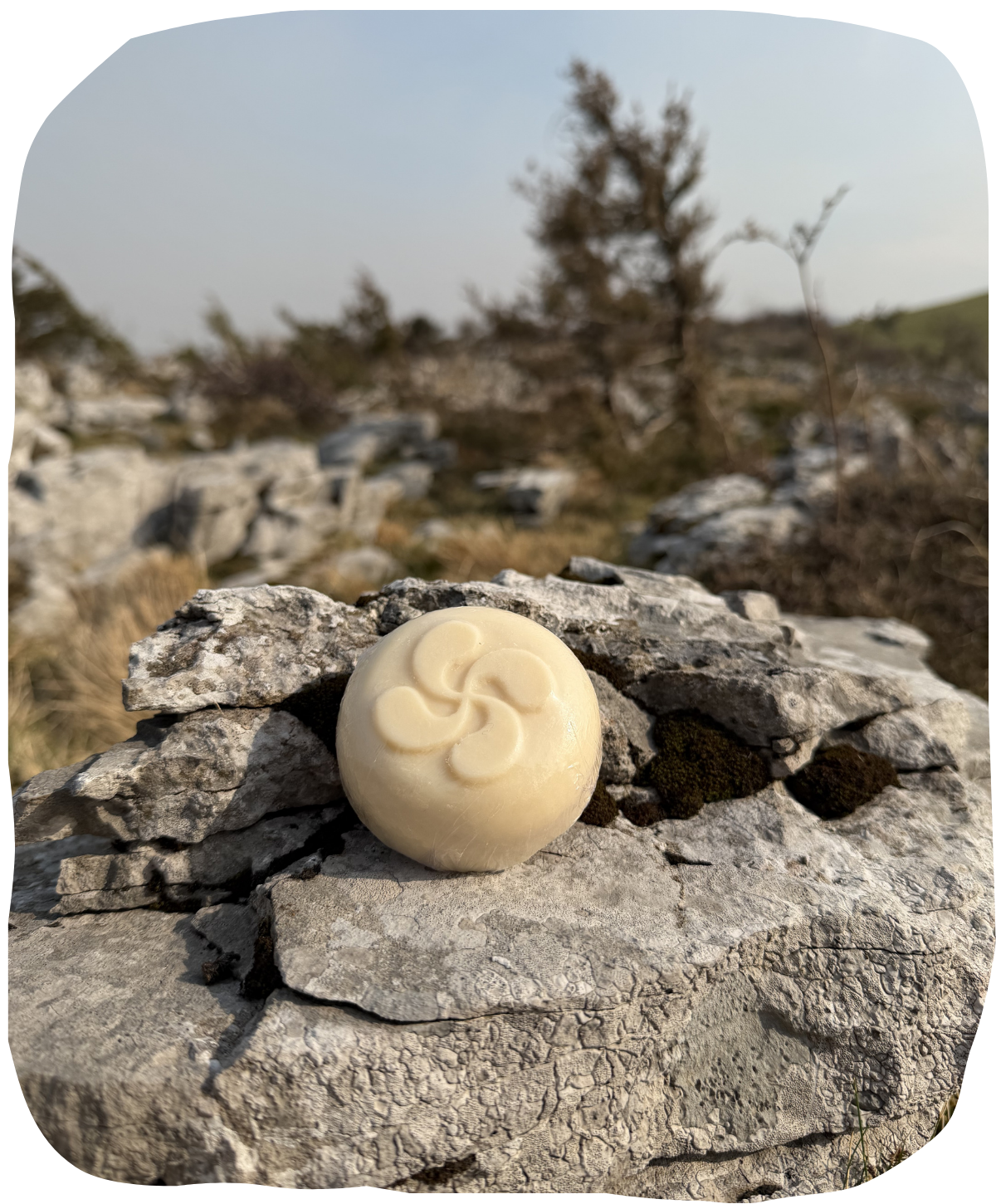 Savon fermier au lait de brebis nature