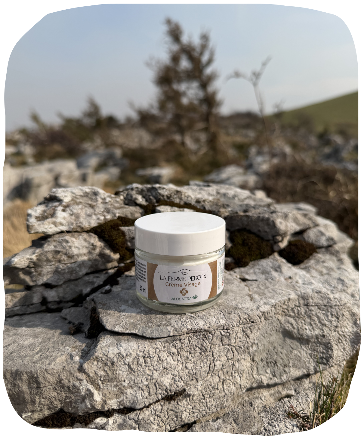 Crème de visage au lait de brebis