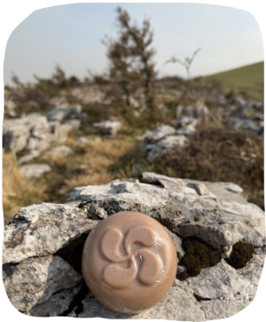 Savon lait de brebis au monoï