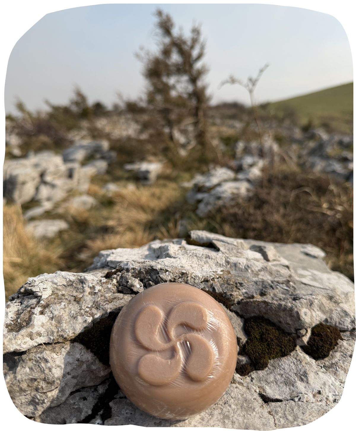 Savon lait de brebis au monoï