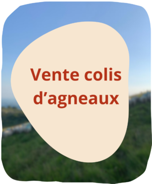 Vente de colis d'agneaux sur commande