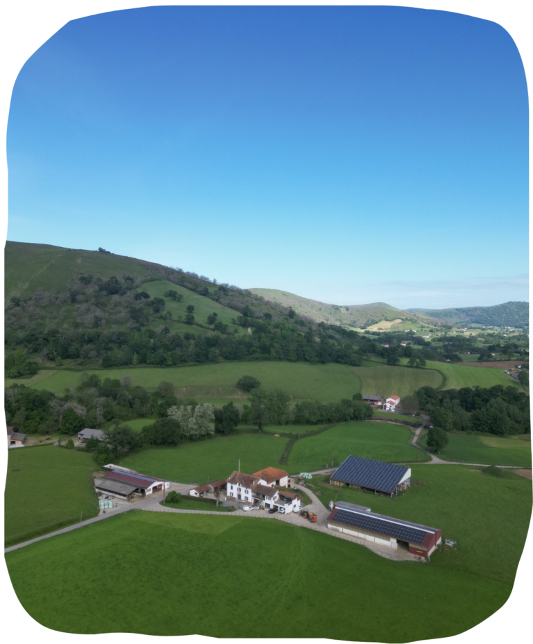 La ferme Pekotx - Vue drone