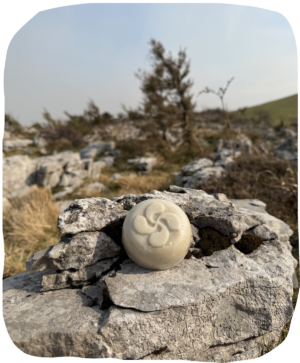Savon lavandin au lait de brebis